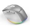 Ergo 9000S Pro, Genius, Mouse, Bluetooth+Wireless, SILVER.
